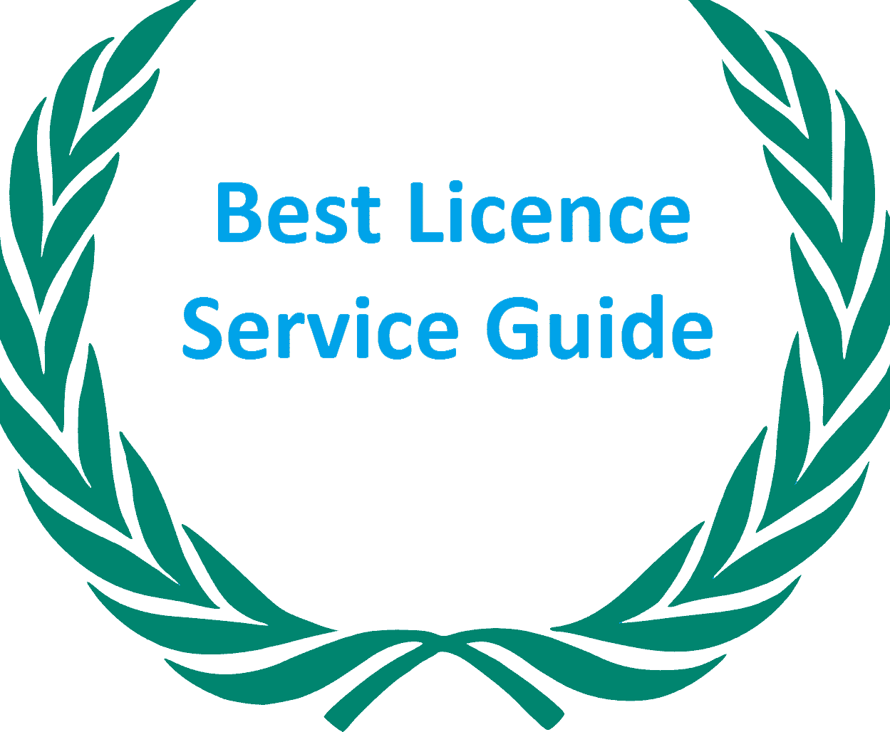Best Licence Service Guide